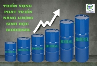 TRIỂN VỌNG PHÁT TRIỂN CỦA NĂNG LƯỢNG SINH HỌC BIODIESEL