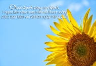 XIN CHÀO NGÀY MỚI