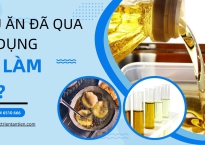  CÁCH ĐỂ BẢO VỆ MÔI TRƯỜNG VÀ CÓ THÊM NGUỒN THU NHẬP CHO BẠN