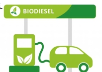 BIODIESEL LÀ GÌ?